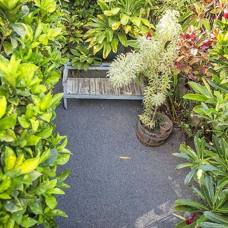 Nalu Kai Lodge Paia Hotel Dış mekan fotoğraf