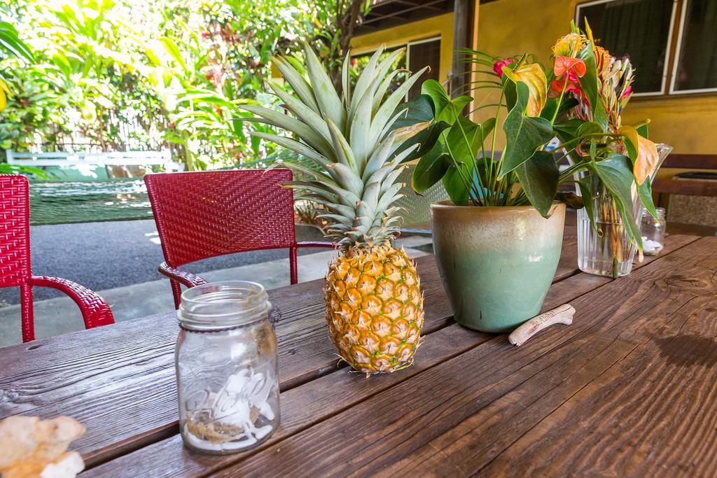 Nalu Kai Lodge Paia Hotel Dış mekan fotoğraf