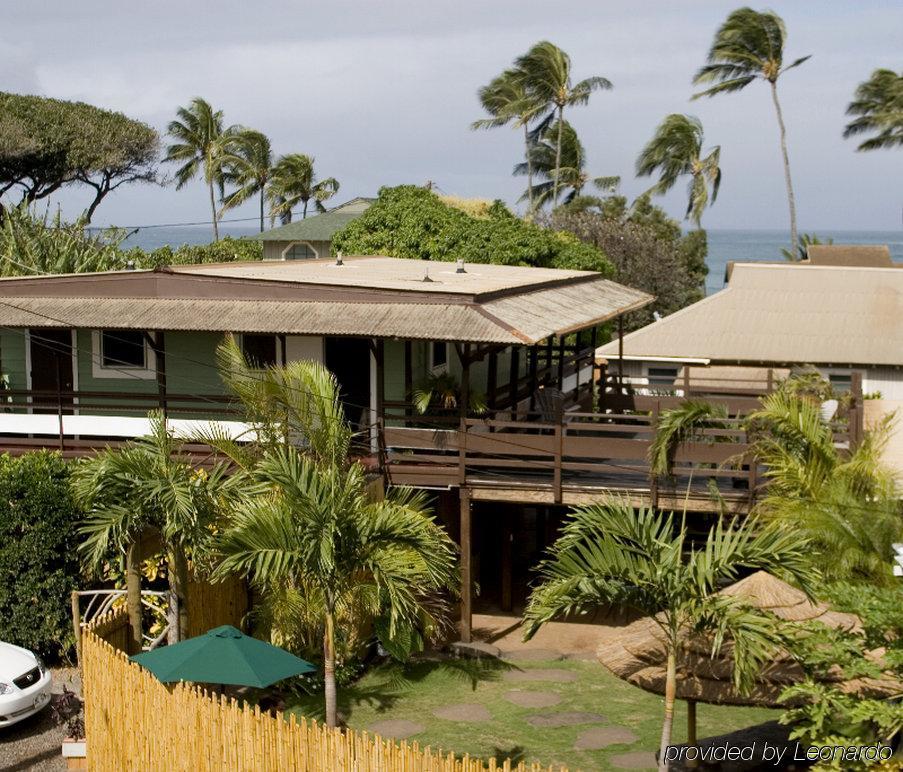 Nalu Kai Lodge Paia Hotel Dış mekan fotoğraf