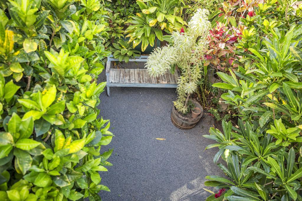 Nalu Kai Lodge Paia Hotel Dış mekan fotoğraf