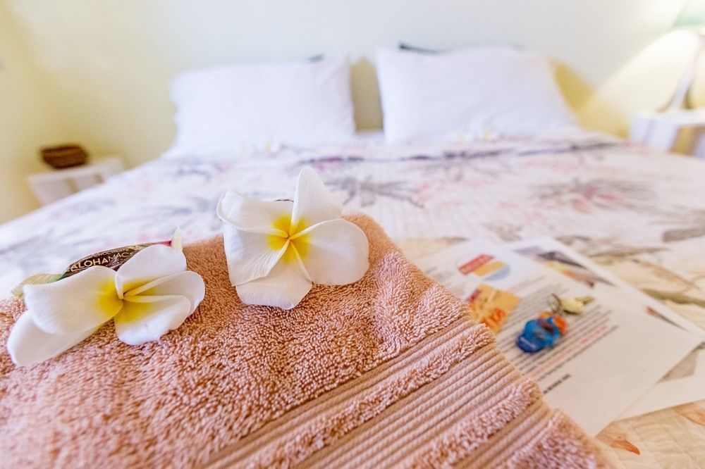 Nalu Kai Lodge Paia Hotel Dış mekan fotoğraf
