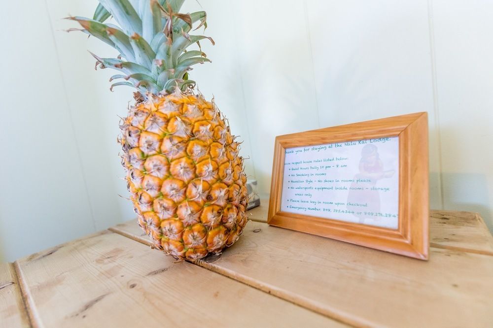 Nalu Kai Lodge Paia Hotel Dış mekan fotoğraf